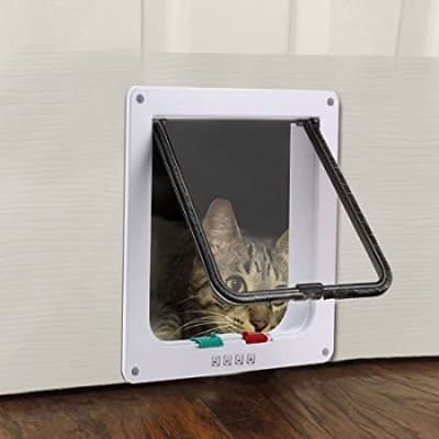CAT DOOR S1
