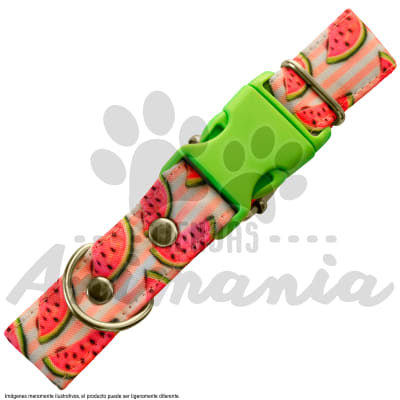 THE ROCKY DOG COLLAR PARA PERROS TALLA XL DISEÑO SANDIA1