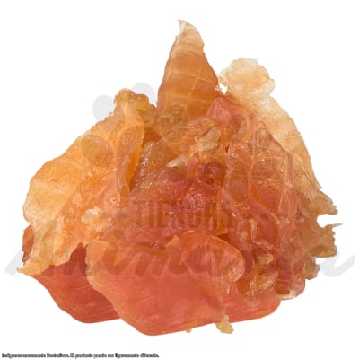 DOG FEST TIRAS DE POLLO 90 GR