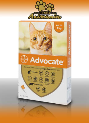 ADVOCATE GATOS HASTA 4 KG