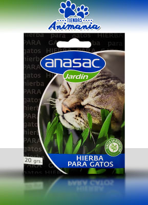 ANASAC HIERBA PARA GATOS 20 GR1
