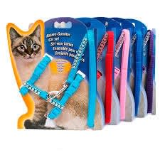ARNES GATO BRILLOS 