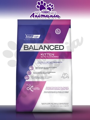 BALANCED GATO KITTEN 2 KG1