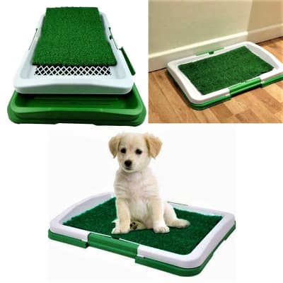 BAÑO PERRO CHICO PT-1