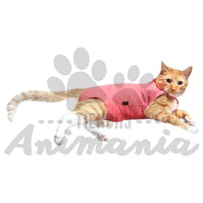 CUNATEX BODY DE COBRE PARA GATOS TALLA 2