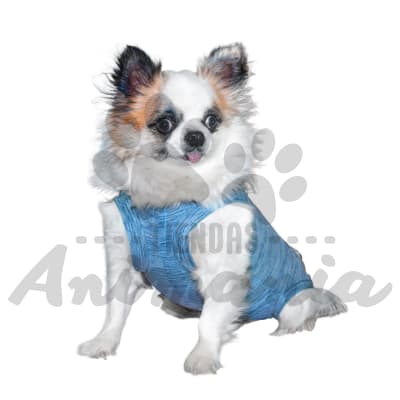 CUNATEX BODY DE COBRE PARA PERRO TALLA 8