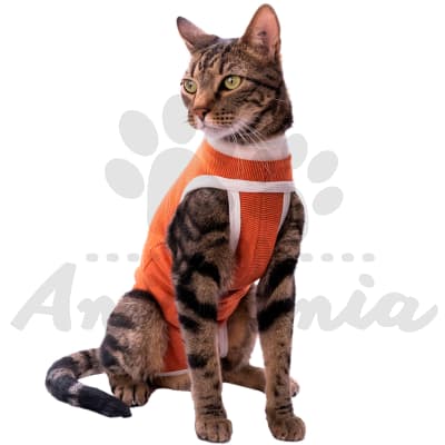 BODY COBRE TRADICIONAL TALLA 4 (6 - 7.5 KG)