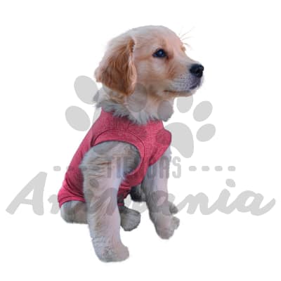 CUNATEX BODY DE COBRE PARA PERRO TALLA 0