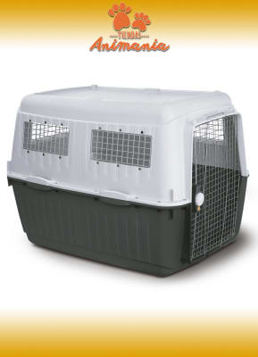 TRANSPORTADORA BRACCO TRAVEL 81