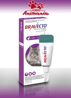 BRAVECTO SPOT-ON PIPETA ANTIPARASITARIA PARA GATOS GRANDES DE 6.25 A 12.5 KG1