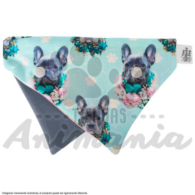 THE ROCKY DOG BANDANA DOBLE CHICA DISEÑO BULLDOG & ANIMAL PRINT