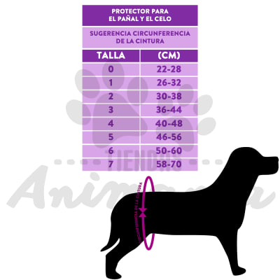CALZON HIGIENICO CANINO PROTECTOR DE CELO TALLA 6