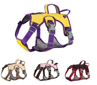 WONDER DOG ARNES ANTIESCAPE TALLA S