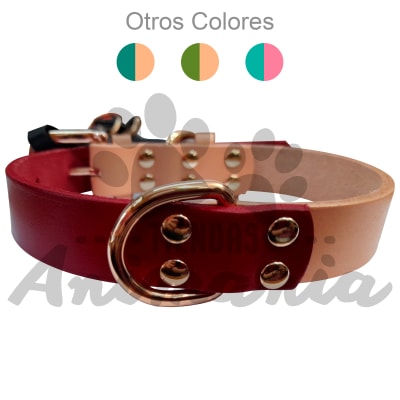 WONDER DOG COLLAR DE CUERO BICOLOR S
