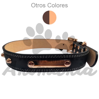 WONDER DOG COLLAR ECO CUERO CON PLACA 041
