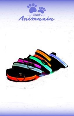 COLLAR LED 1