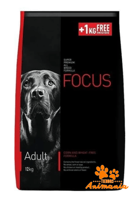 FOCUS ADULT 12 KG ADULT 12 KG1