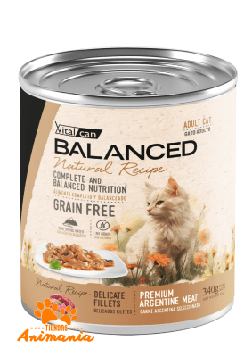 BALANCED GATO NATURAL RECIPE LATA ADULTO FILETES CARNE 340 GR1