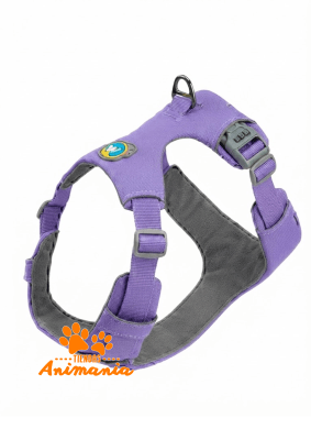 WONDER DOG ARNES GUAU GUARD TALLA XS