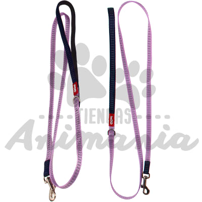 GIGWI CORREA CLASICA TAMAÑO S MORADO/AZUL