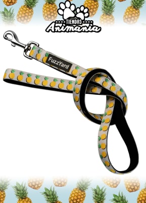 FUZZYARD CORREA PERRO TALLA M/L | PIÑA COLADA1