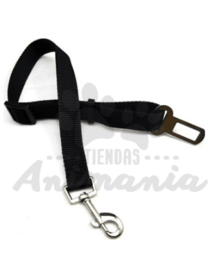 CINTURON PARA AUTOS