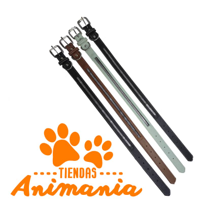 COLLAR CON DISEÑO DECORATIVO DE CREMALLERA1