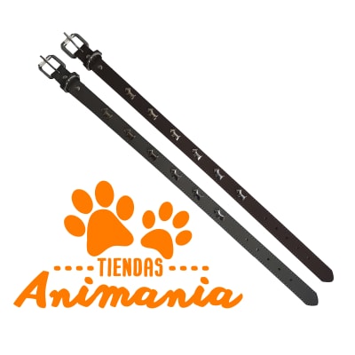 COLLAR CON DECORACION DE CHAPAS DE PERROS1