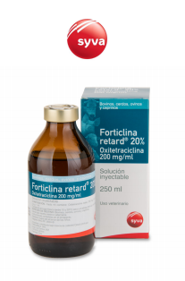 FORTICLINA RETARD 20% INT 100ML1