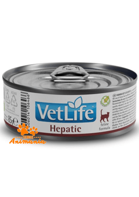 VET LIFE FELINE WF HEPATICO 85 GR1