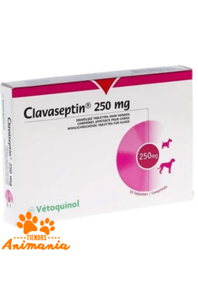 CLAVASEPTIN 10 COMPRIMIDOS 250 MG
