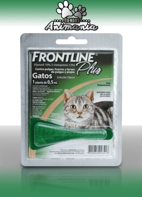 FRONTLINE PIPETA PLUS GATO 