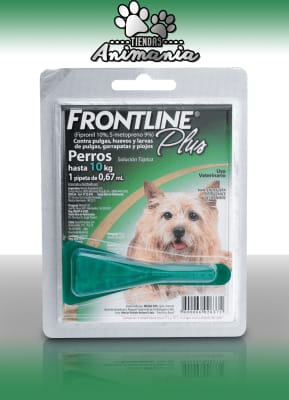 FRONTLINE PIPETA PLUS HASTA 10 KG