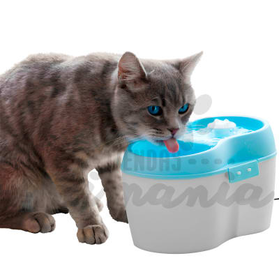 FUENTE AGUA GATO CATH2O 2 LITROS CELESTE1