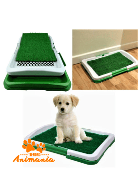 BAÑO PERRO CHICO PT-1