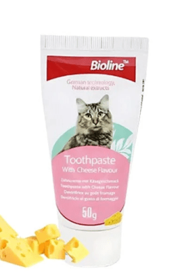 PASTA DENTAL SABOR QUESO 50 GR GATOS1