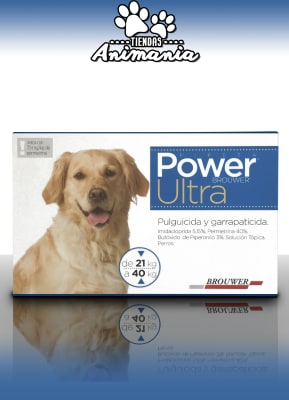 POWER ULTRA 21 - 40 KG