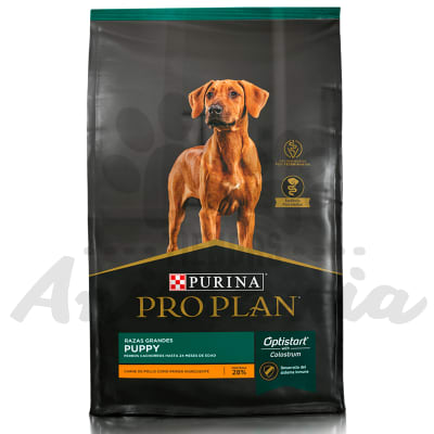 PRO PLAN PERROS CACHORROS RAZAS GRANDES | PUPPY LARGE BREED 15 KG
