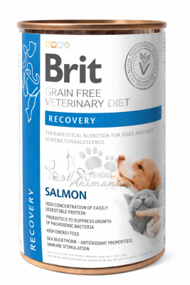BRIT GF VD DOG + CAT LATA RECOVERY 400 GR