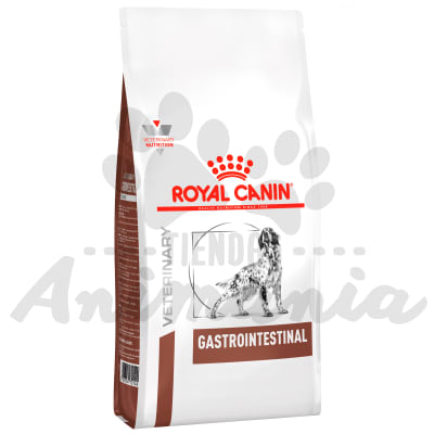ROYAL CANIN PERRO GASTROINTESTINAL ADULT 10 KG