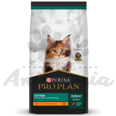 PRO PLAN GATO CACHORRO | KITTEN 3 KG