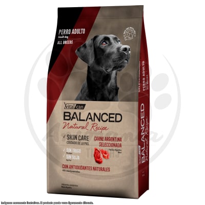 BALANCED PERRO NATURAL RECIPE CARNE ARGENTINA SELECCIONADA 15 KG1