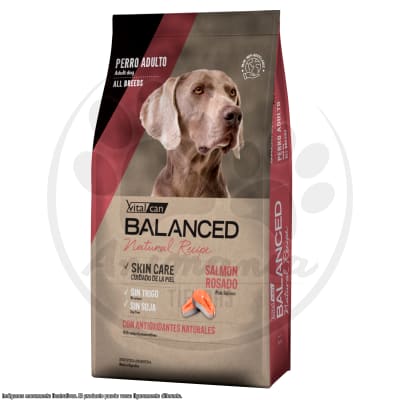 BALANCED PERRO NATURAL RECIPE ADULTO SALMON ROSADO 15 KG