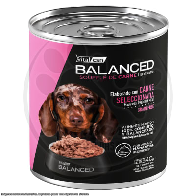 BALANCED PERRO CACHORRO SOUFFLE DE CARNE GRAIN FREE 340 GR