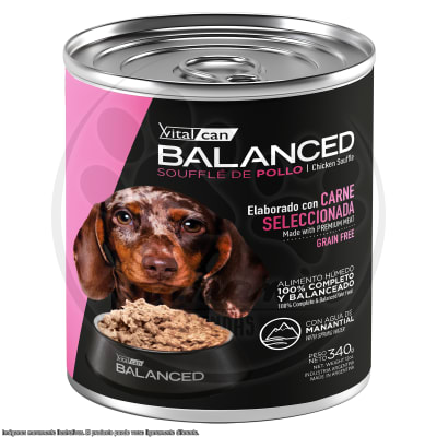 BALANCED PERRO CACHORRO SOUFFLE DE POLLO GRAIN FREE 340 GR1