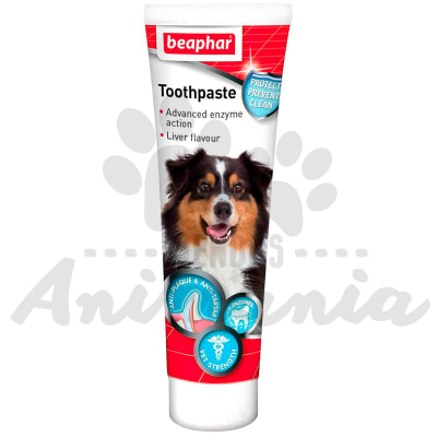 BEAPHAR PASTA DENTAL SABOR A CARNE 100 ML1