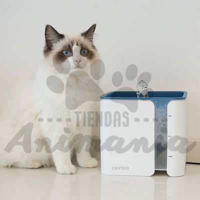 CARNO PET FUENTE DE AGUA PARA GATOS 2 LITROS USB