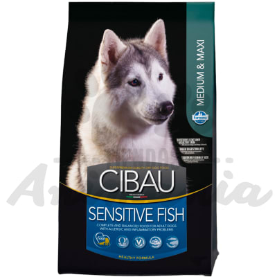 CIBAU SENSITIVE FISH MEDIUM & MAXI BREEDS | RAZAS MEDIANAS Y GRANDES 12 KG1
