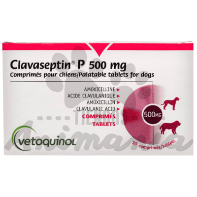 CLAVASEPTIN 10 COMPRIMIDOS 500 MG