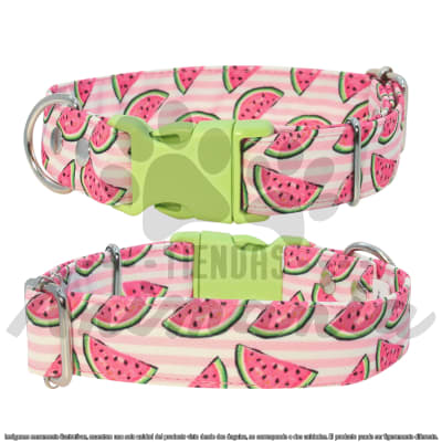 THE ROCKY DOG COLLAR PARA PERROS  TALLA L DISEÑO SANDIA1